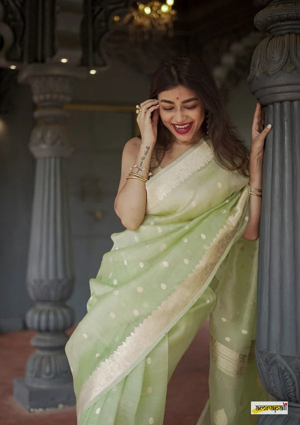 Lassitude Pista Cotton Silk Saree With Panoply Blouse Piece