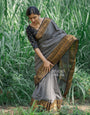 Ravishing Grey Soft Silk Saree With Transcendent Blouse Piece