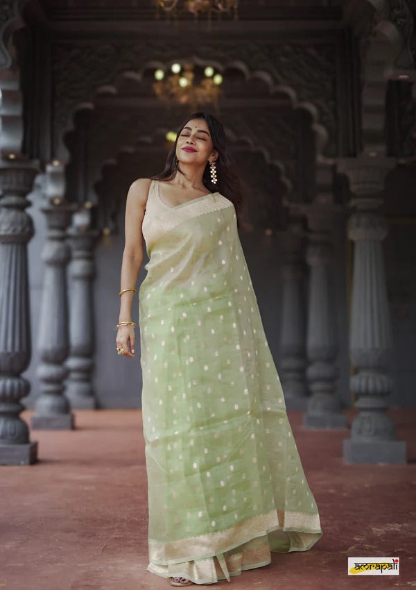 Lassitude Pista Cotton Silk Saree With Panoply Blouse Piece