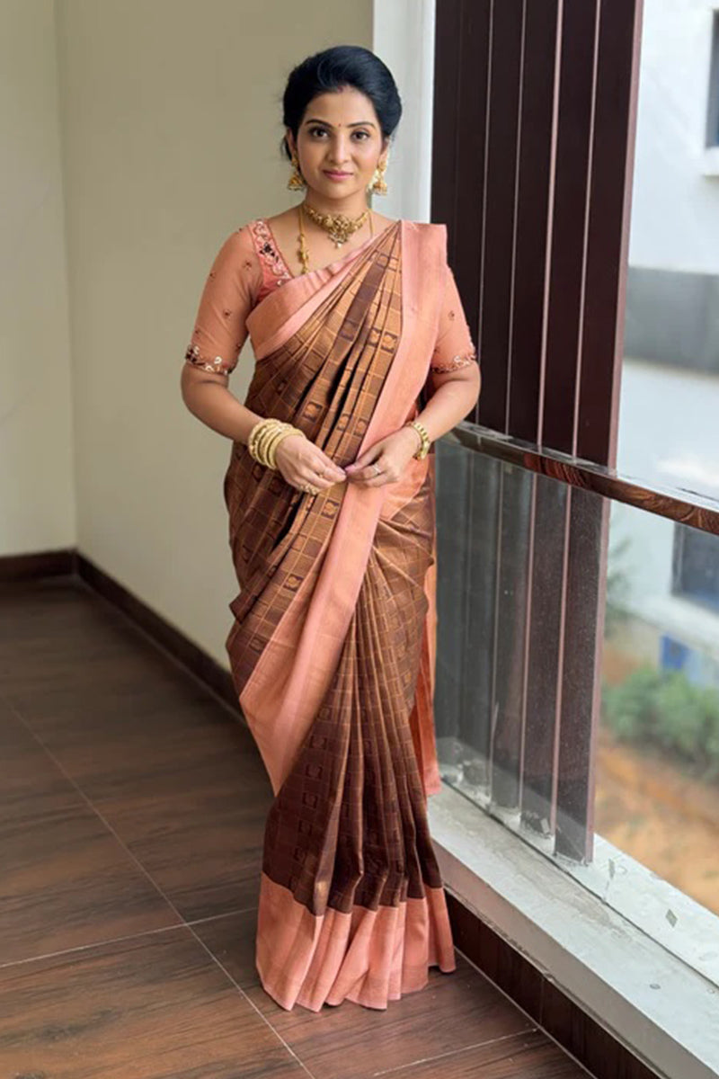 Most Stunning Brown Soft Silk Saree With Susurrous Blouse Piece