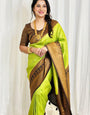 Energetic Parrot Green Soft Banarasi Silk Saree With Blouse Piece