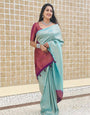 Lovely Sky Blue Soft Silk Saree With Trendy Blouse Piece